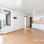 Pronajměte si 2 ložnic/e byt o rozloze 49 m² v Prague