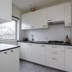 Huur 1 slaapkamer appartement van 55 m² in Breda