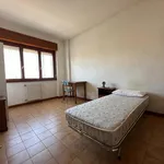 Rent 3 bedroom apartment of 110 m² in Roma