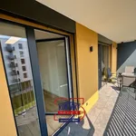 Rent 2 bedroom apartment of 73 m² in České Budějovice