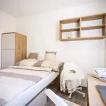 Rent 1 bedroom apartment in Brno