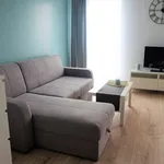 Rent 1 bedroom apartment of 30 m² in Bielsko-Biała