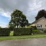 Huur 3 slaapkamer huis van 1200 m² in Schepdaal