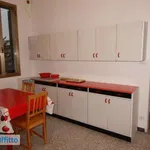 Rent 3 bedroom apartment of 57 m² in Bologna