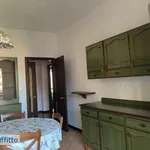 Rent 4 bedroom apartment of 160 m² in Turin