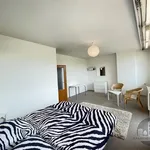 Rent 1 bedroom apartment of 130 m² in Capital City of Prague