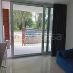 Rent 2 bedroom apartment of 50 m² in Eraclea