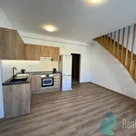 Rent 4 bedroom apartment of 115 m² in České Budějovice