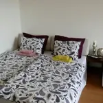 Pronajměte si 1 ložnic/e byt o rozloze 58 m² v Prague