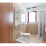 Rent 2 bedroom apartment of 68 m² in Milano