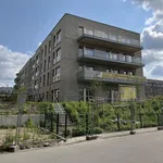 Rent 4 bedroom apartment of 112 m² in Dresden