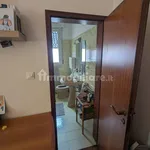 Rent 4 bedroom house of 104 m² in Bologna