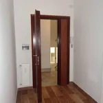 Rent 1 bedroom apartment of 75 m² in Roma