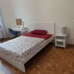 Rent a room of 211 m² in florence