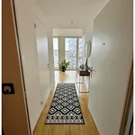 Rent 2 bedroom apartment in Zurich