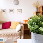 Rent 2 bedroom apartment of 35 m² in Milan