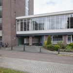 Huur 3 slaapkamer appartement van 75 m² in Naarden