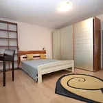 Rent 1 bedroom apartment of 35 m² in Timișoara