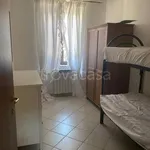 Rent 2 bedroom apartment of 60 m² in Colleferro