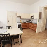 Rent 1 bedroom apartment of 15 m² in Brno