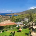 Rent 2 bedroom apartment of 55 m² in Municipal Unit of Saronikos