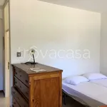 Rent 1 bedroom apartment of 40 m² in Urbino