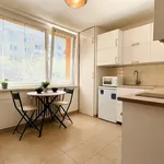 Rent 1 bedroom apartment in Brno