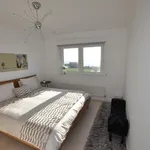 Rent 2 bedroom apartment in Rother