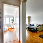 Rent 3 bedroom apartment in Bern