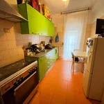 Rent 1 bedroom apartment of 45 m² in Rome