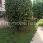 Rent 4 bedroom apartment of 120 m² in Caserta