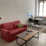 Rent 2 bedroom apartment of 60 m² in Torino