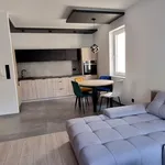 Rent 3 bedroom apartment of 52 m² in Bielsko-Biała