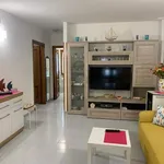 Rent 3 bedroom apartment of 50 m² in Roma