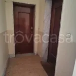 Rent 3 bedroom apartment of 80 m² in Turin