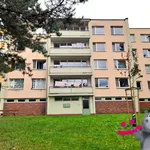 Rent 1 bedroom apartment in Teplice