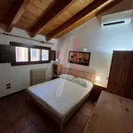 Rent 2 bedroom apartment of 46 m² in Bologna