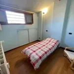 Rent 2 bedroom apartment of 50 m² in Milan