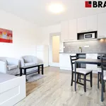 Rent 1 bedroom apartment of 28 m² in Brno