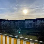 Rent 1 bedroom apartment of 50 m² in Chemnitz