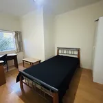 Rent 1 bedroom house in Albert-Eden