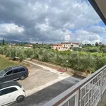 Rent 3 bedroom apartment of 66 m² in Zagarolo