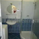 Rent 2 bedroom apartment of 40 m² in Praha