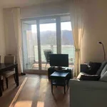 Rent 2 bedroom apartment of 60 m² in Berlin