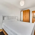 Rent 4 bedroom apartment of 95 m² in Capital City of Prague