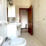 Rent 3 bedroom apartment of 75 m² in Bologna