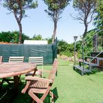 Rent 2 bedroom apartment in Bologna