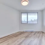  appartement avec 1 chambre(s) en location à Montreal