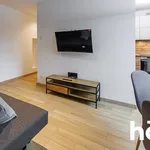 Rent 1 bedroom apartment of 37 m² in Katowice