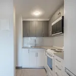  appartement avec 1 chambre(s) en location à Montreal